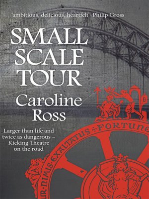 cover image of Small Scale Tour